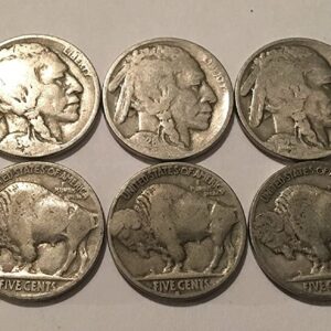 10 US Buffalo Nickels (1913-1938) Starter Set (Comes In a Gift Bag)