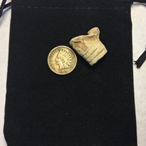 US Civil War Indian Cent with Bullet