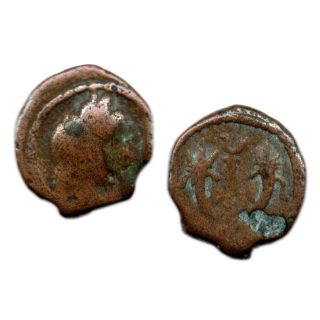 Ancient Bronze Coin of the Biblical Holy Land (black box) (low grade) - Image 3