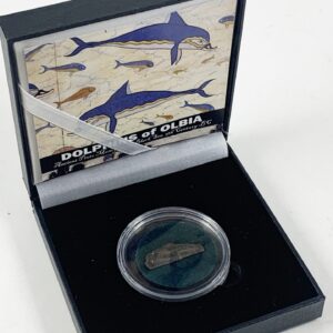 Dolphins of Olbia: Ancient Proto Money of the Black Sea, 5th Century BC (Black Box)